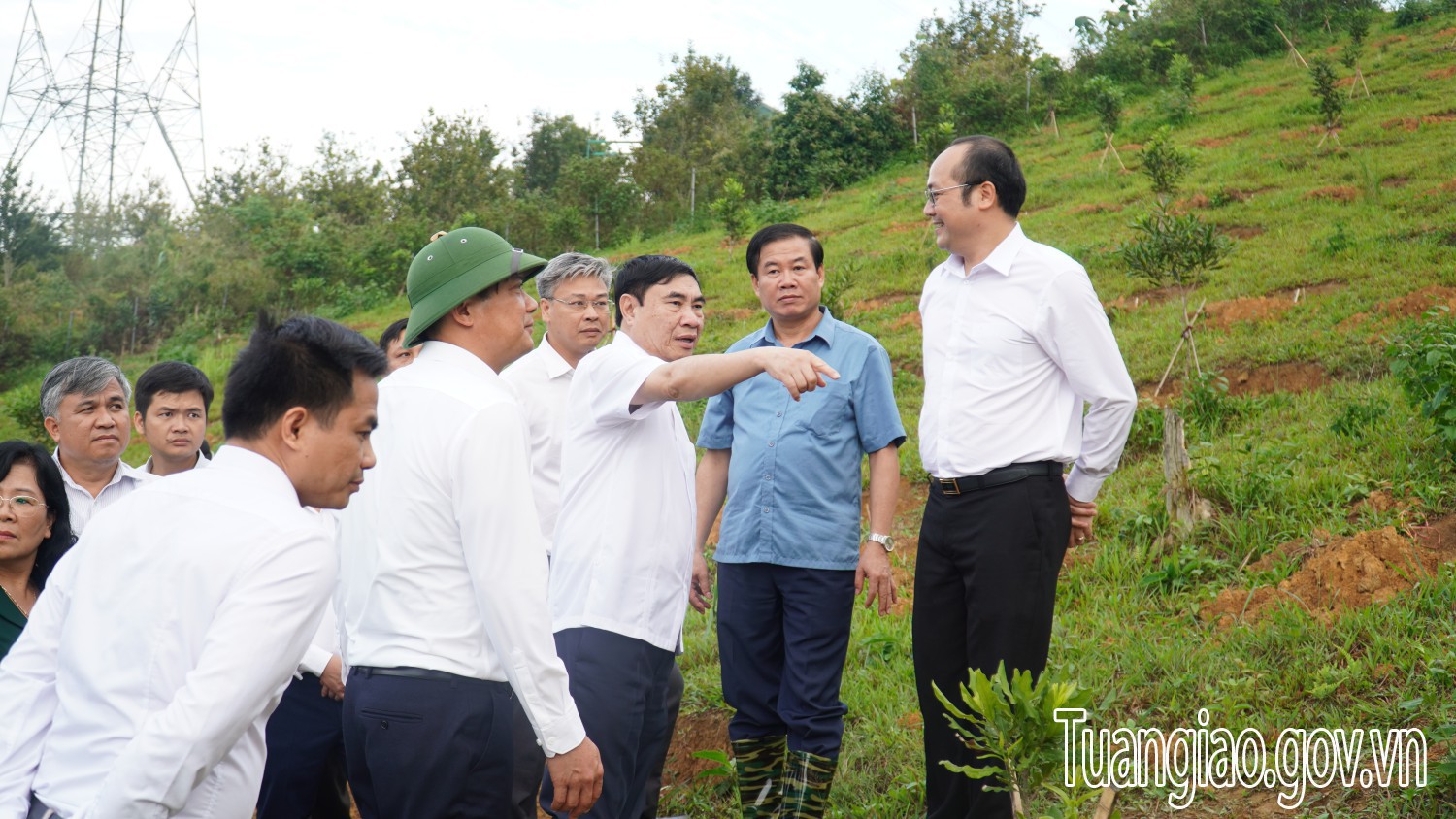 Tuần Giáo: Ngày hội trồng mắc ca năm 2024 và Hội thảo về định hướng phát triển cây mắc ca, cây cà phê